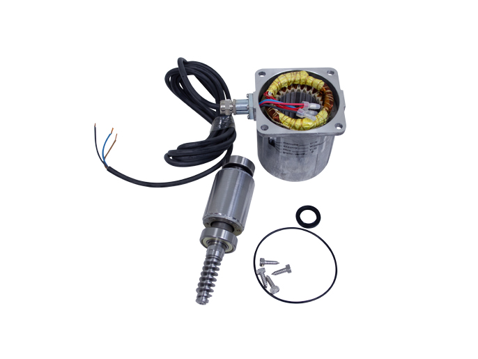 119RIA061 Электродвигатель FROG-A в сборе 