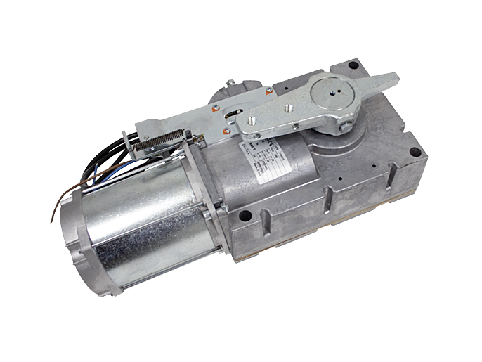 119RIG376 Моторедуктор G3000 