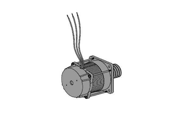 AN-MOTORS ASW.4008 Электродвигатель с червяком (в сборе) 