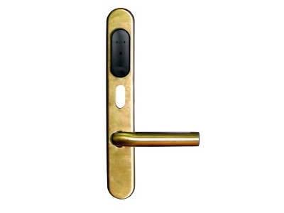 Gate-IP-Lock (IP500) дверной контроллер в виде накладки замка 